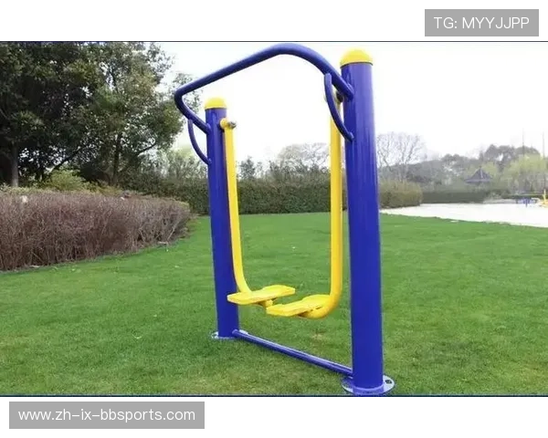 盐山健身器材：盐山地区健身器材品牌与产品特点